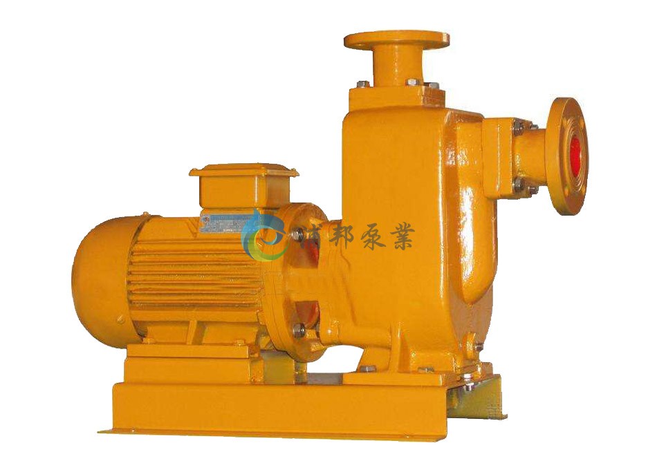 ZWL直聯(lián)自吸無(wú)堵塞排污泵